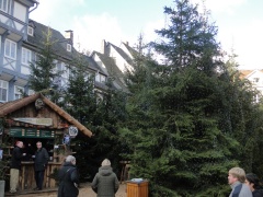 Weihnachtswald in Goslar