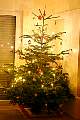 weihnachtsbaum2004005.jpg