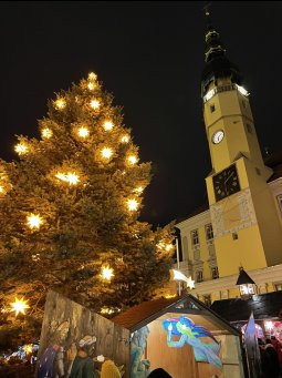 Wenzelsmarkt Bautzen