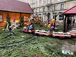 img_5955.jpg