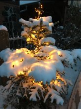 Beleuchtung im verschneiten Garten