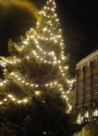 Weihnachtsbaum am Rathaus