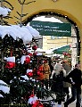 salzburg108.jpg