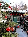 salzburg110.jpg