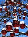 salzburg118.jpg